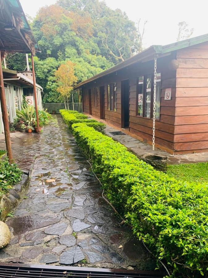 Hotel Quetzal Inn Monteverde 外观 照片