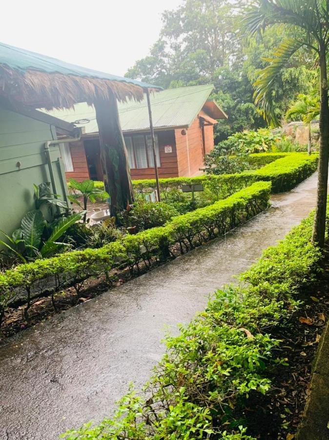 Hotel Quetzal Inn Monteverde 外观 照片