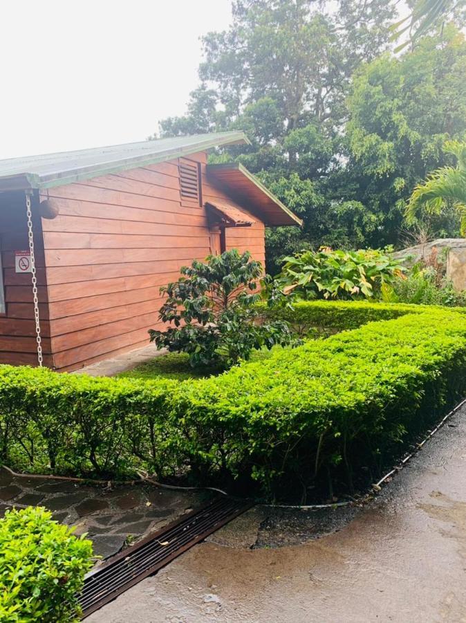 Hotel Quetzal Inn Monteverde 外观 照片