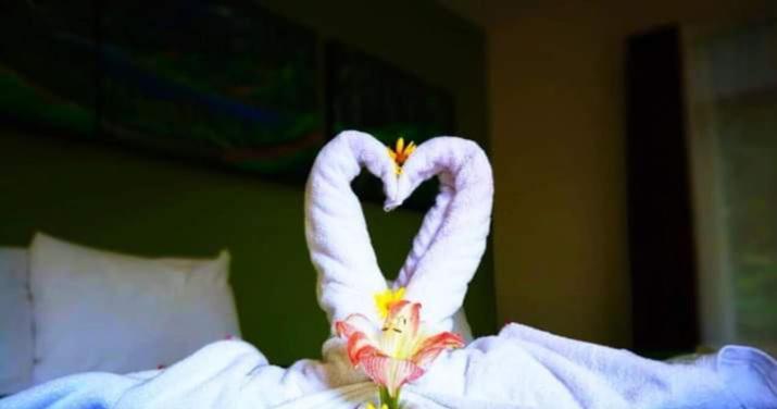 Hotel Quetzal Inn Monteverde 外观 照片